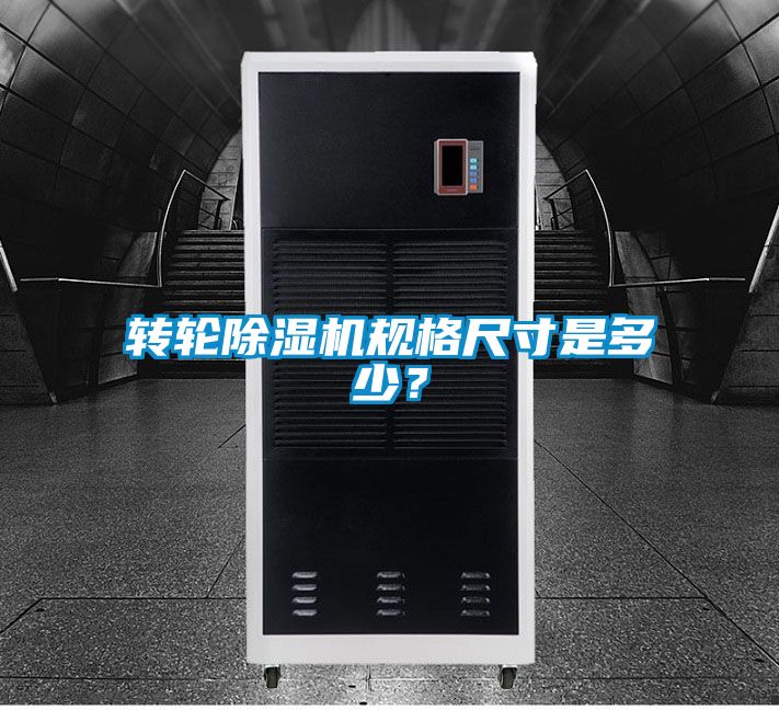 轉輪91视频链接下载規格尺寸是多少？