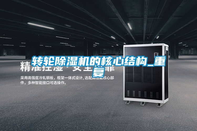 轉輪91视频链接下载的核心結構_重複