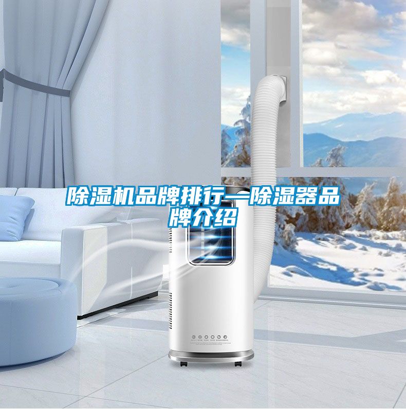 91视频链接下载品牌排行—除濕器品牌介紹