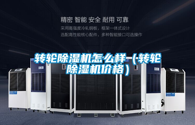 轉輪91视频链接下载怎麽樣（轉輪91视频链接下载價格）