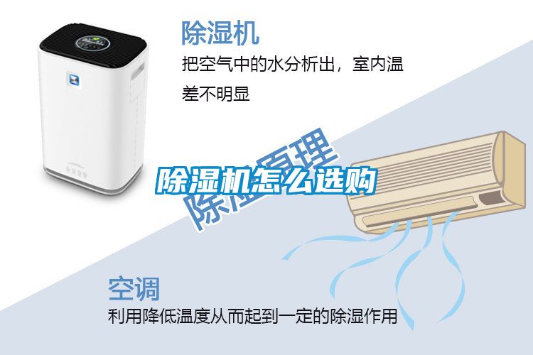 91视频链接下载怎麽選購