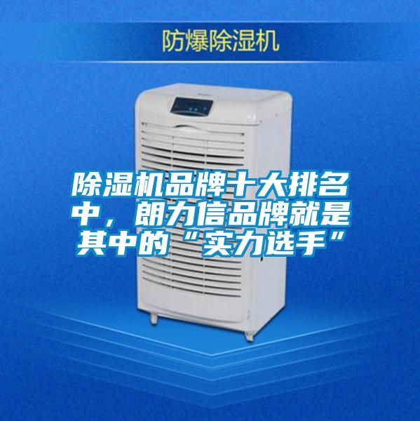 91视频链接下载品牌十大排名中，朗力信品牌就是其中的“實力選手”