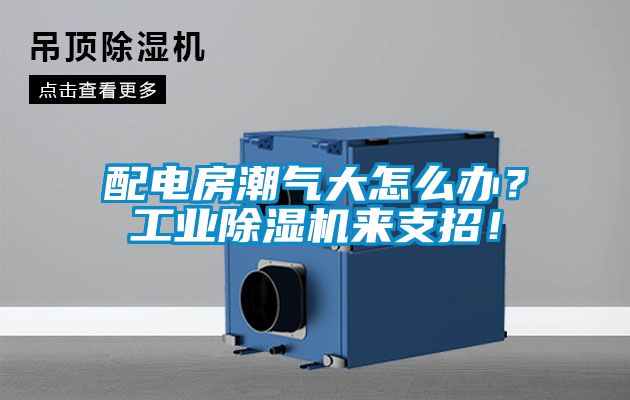 配電房潮氣大怎麽辦？工業91视频链接下载來支招！