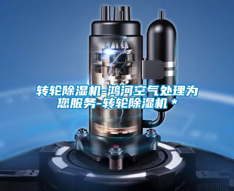 轉輪91视频链接下载-鴻河空氣處理為您服務-轉輪91视频链接下载＊