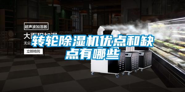 轉輪91视频链接下载優點和缺點有哪些