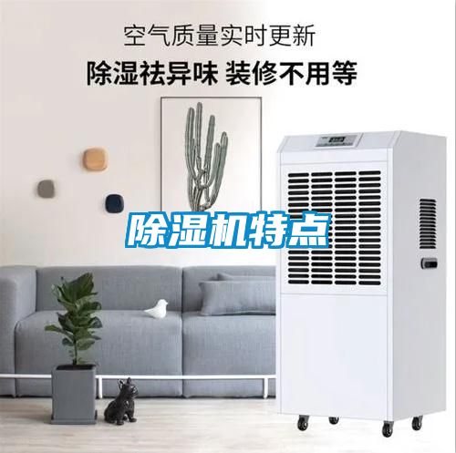 91视频链接下载特點