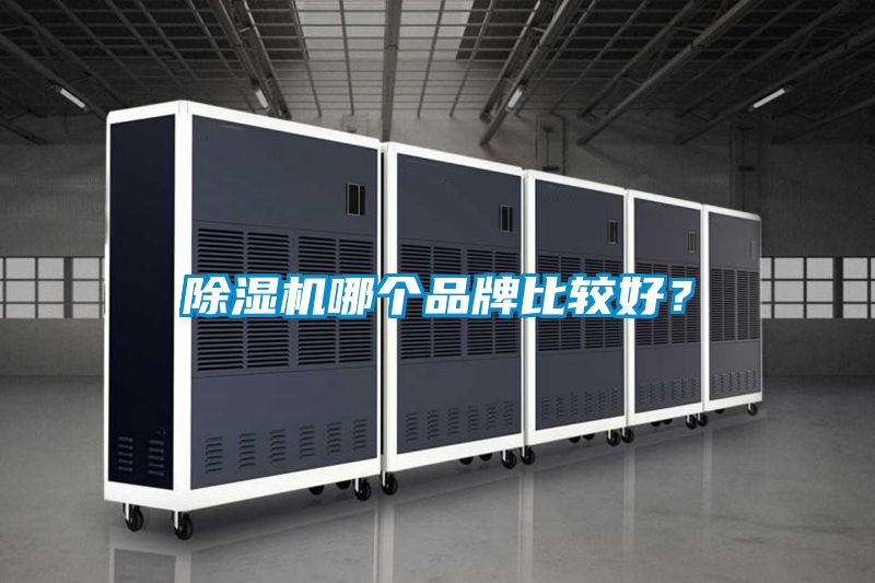 91视频链接下载哪個品牌比較好？