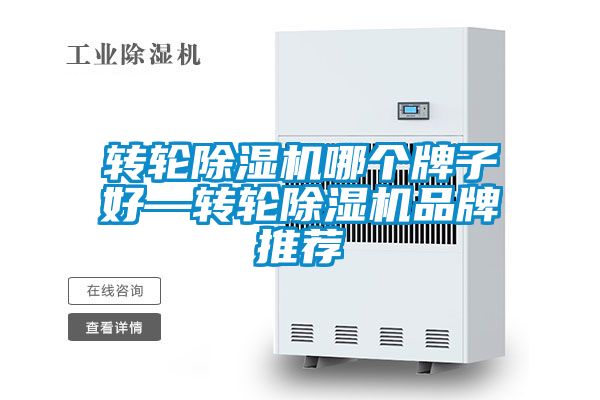 轉輪91视频链接下载哪個牌子好—轉輪91视频链接下载品牌推薦