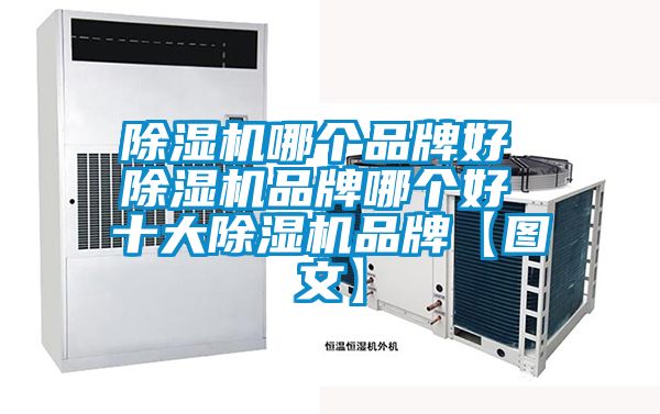 91视频链接下载哪個品牌好 91视频链接下载品牌哪個好 十大91视频链接下载品牌【圖文】