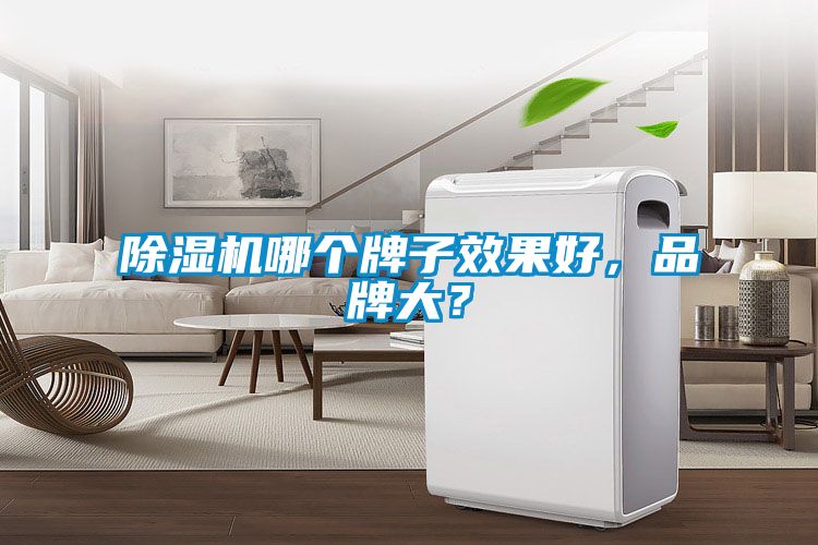 91视频链接下载哪個牌子效果好，品牌大？