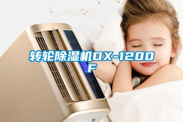 轉輪91视频链接下载DX-1200F