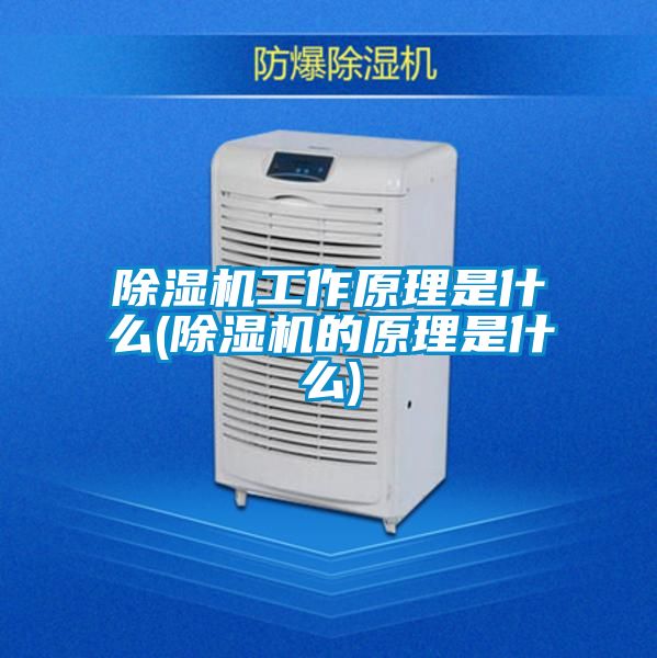 91视频链接下载工作原理是什麽(91视频链接下载的原理是什麽)