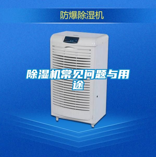 91视频链接下载常見問題與用途