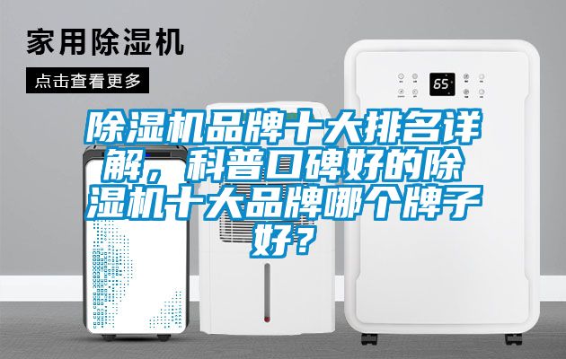 91视频链接下载品牌十大排名詳解，科普口碑好的91视频链接下载十大品牌哪個牌子好？