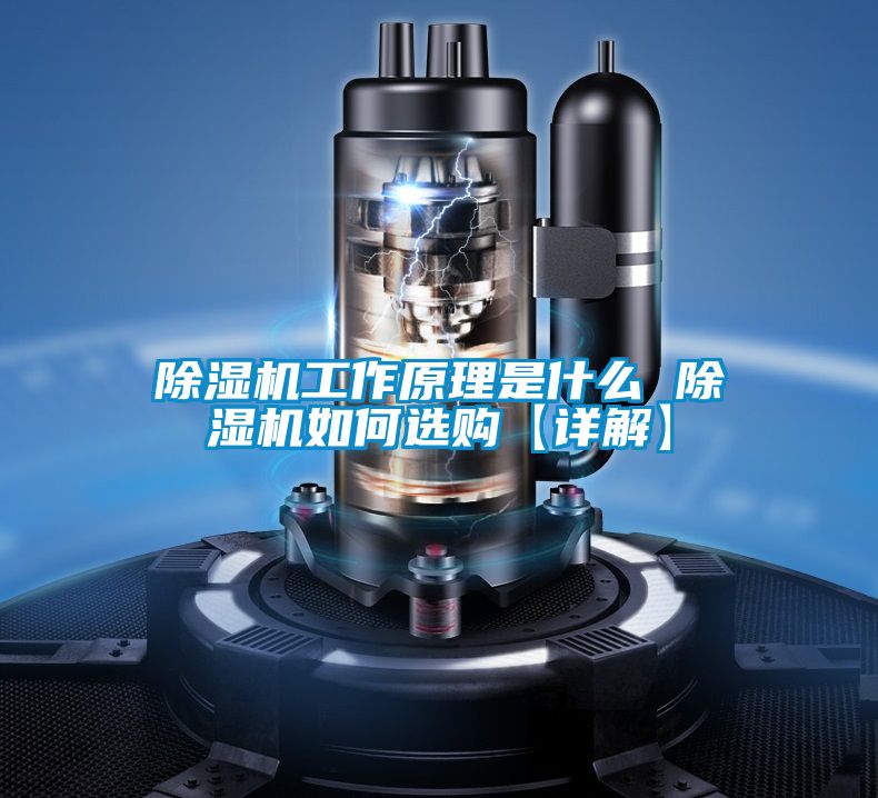 91视频链接下载工作原理是什麽 91视频链接下载如何選購【詳解】