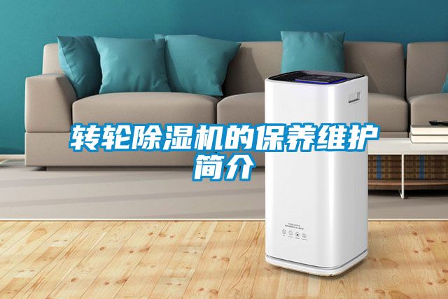 轉輪91视频链接下载的保養維護簡介