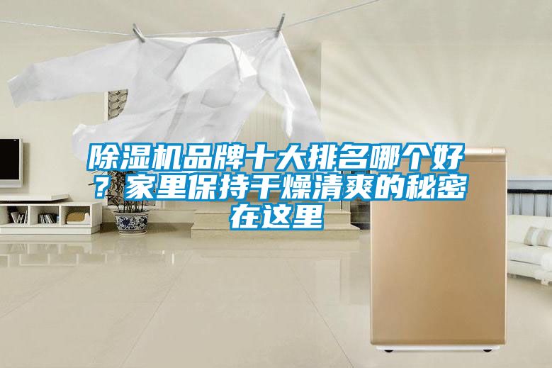 91视频链接下载品牌十大排名哪個好？家裏保持幹燥清爽的秘密在這裏