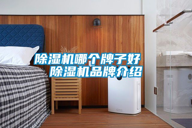 91视频链接下载哪個牌子好  91视频链接下载品牌介紹