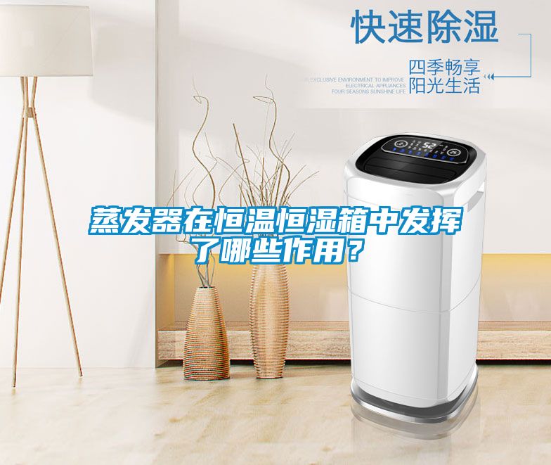 蒸發器在恒溫恒濕箱中發揮了哪些作用？