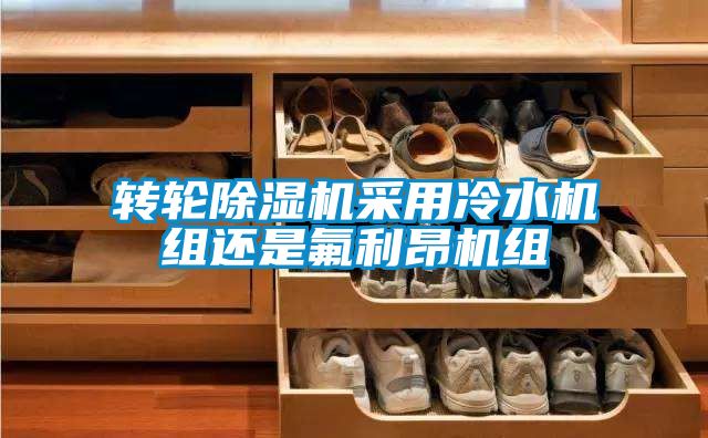 轉輪91视频链接下载采用冷水機組還是氟利昂機組