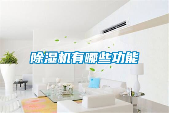 91视频链接下载有哪些功能