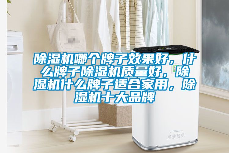 91视频链接下载哪個牌子效果好，什麽牌子91视频链接下载質量好，91视频链接下载什麽牌子適合家用，91视频链接下载十大品牌