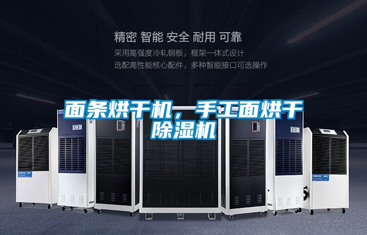 麵條烘幹機，手工麵烘幹91视频链接下载