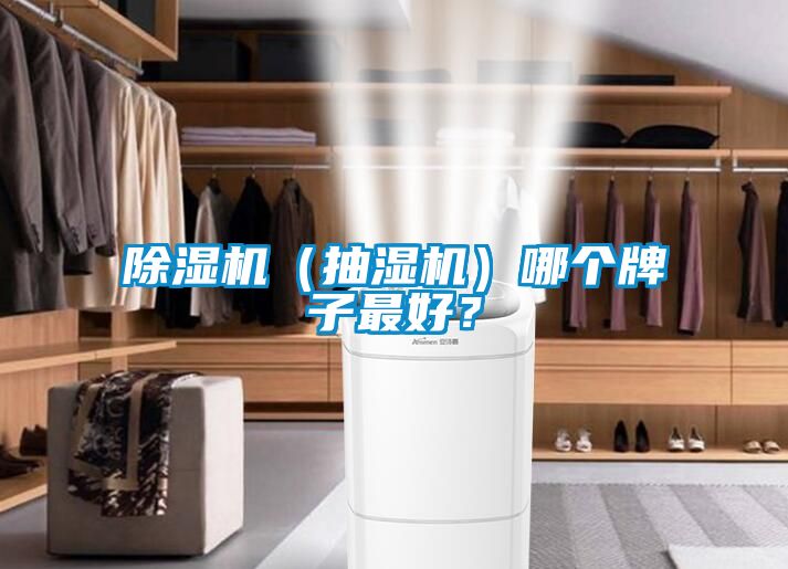 91视频链接下载（抽濕機）哪個牌子最好？