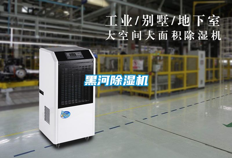 黑河91视频链接下载