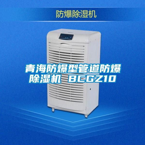 青海防爆型管道防爆91视频链接下载 BCGZ10