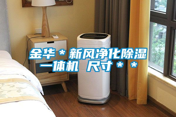 金華*新風淨化除濕一體機 尺寸**