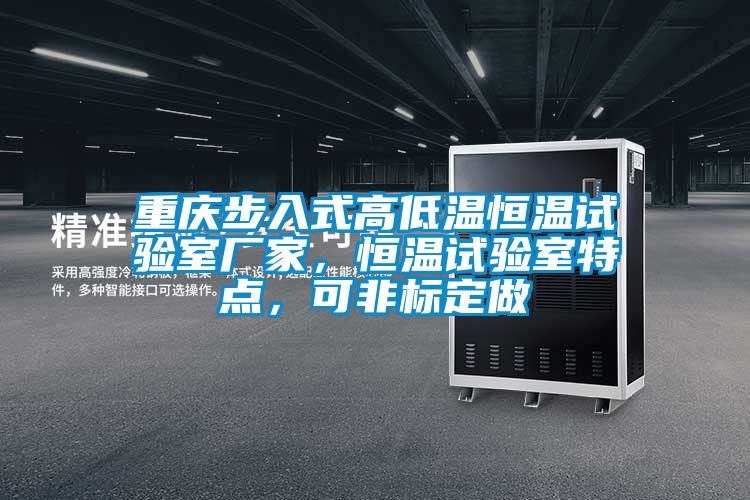 重慶步入式高低溫恒溫試驗室廠家，恒溫試驗室特點，可非標定做