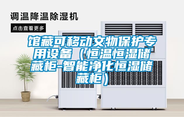 館藏可移動文物保護專用設備(恒溫恒濕儲藏櫃-智能淨化恒濕儲藏櫃)