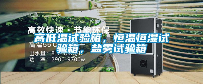 高低溫試驗箱，恒溫恒濕試驗箱，鹽霧試驗箱