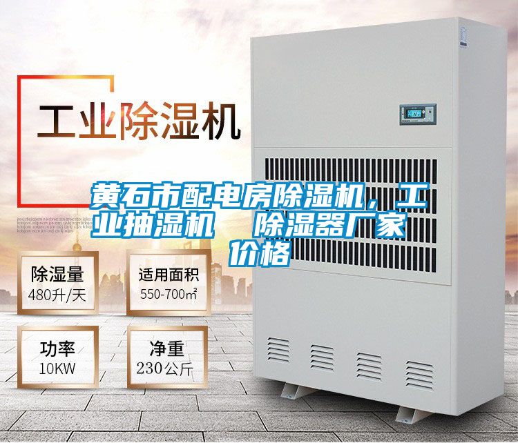 黃石市配電房91视频链接下载，工業抽濕機  除濕器廠家 價格