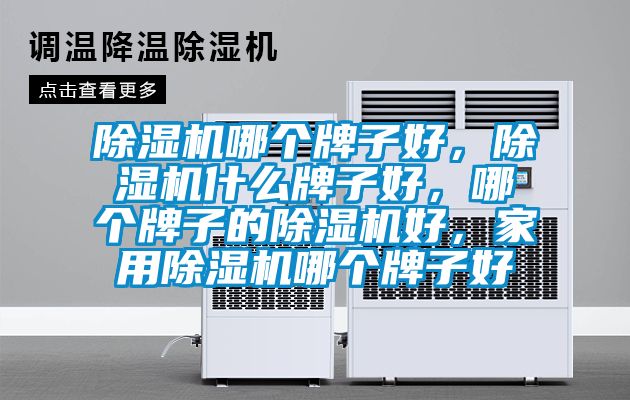 91视频链接下载哪個牌子好，91视频链接下载什麽牌子好，哪個牌子的91视频链接下载好，家用91视频链接下载哪個牌子好