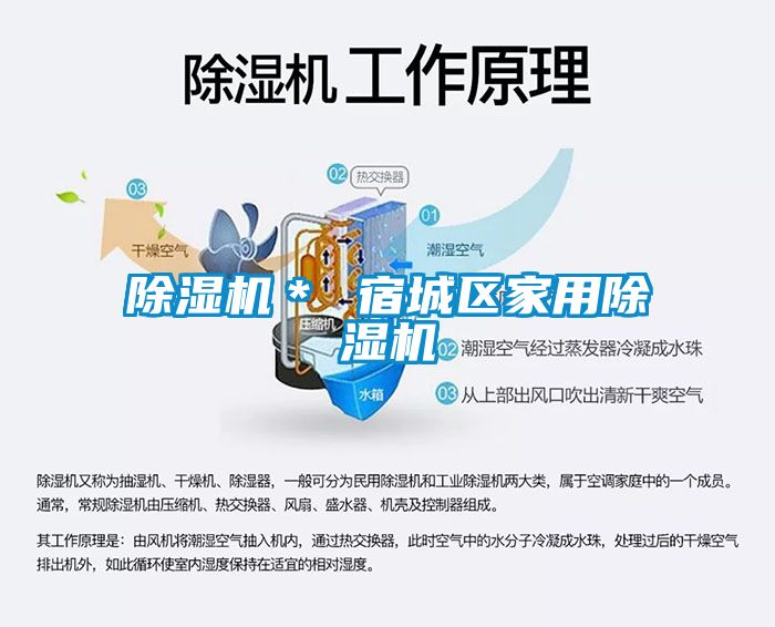 91视频链接下载＊ 宿城區家用91视频链接下载