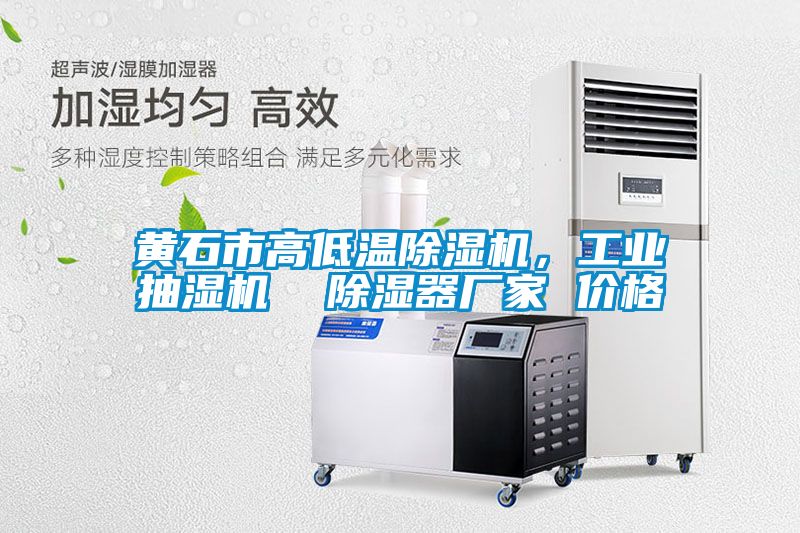 黃石市高低溫91视频链接下载，工業抽濕機  除濕器廠家 價格