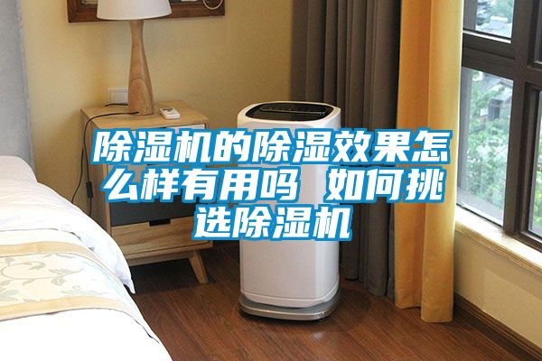 91视频链接下载的除濕效果怎麽樣有用嗎 如何挑選91视频链接下载