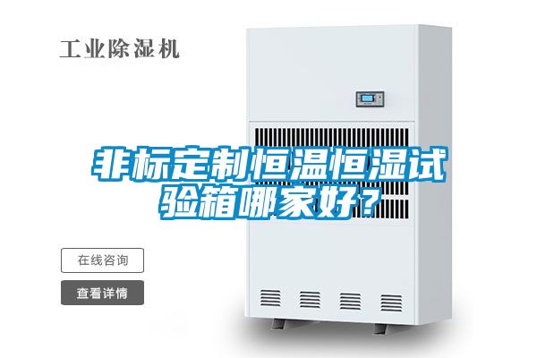 非標定製恒溫恒濕試驗箱哪家好？