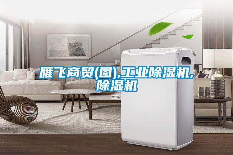 雁飛商貿(圖),工業91视频链接下载,91视频链接下载