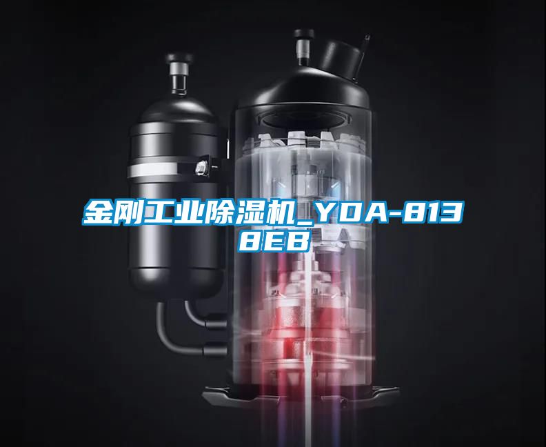 金剛工業91视频链接下载_YDA-8138EB
