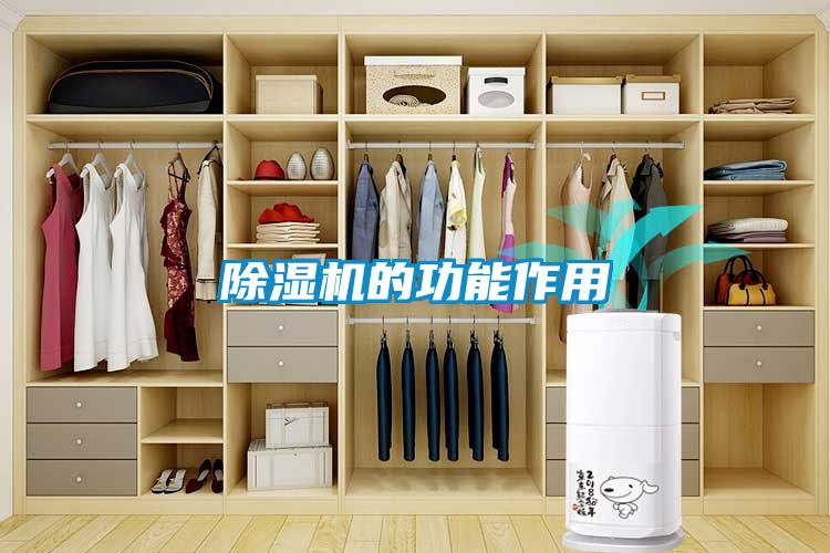 91视频链接下载的功能作用