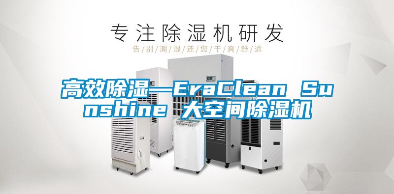 高效除濕—EraClean Sunshine 大空間91视频链接下载