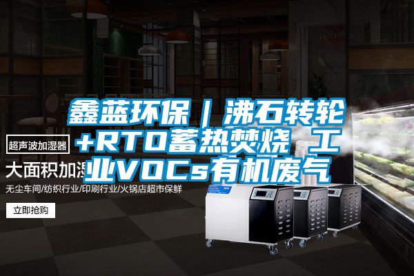 鑫藍環保|沸石轉輪+RTO蓄熱焚燒 工業VOCs有機廢氣