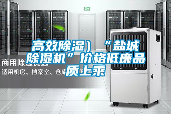 高效除濕）“鹽城91视频链接下载”價格低廉品質上乘