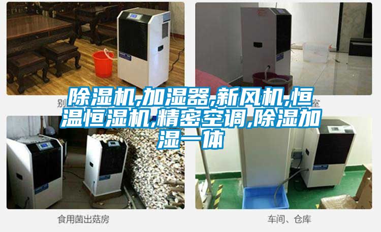 91视频链接下载,加濕器,新風機,恒溫恒濕機,精密空調,除濕加濕一體