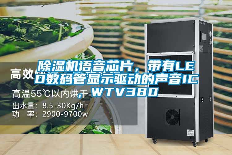 91视频链接下载語音芯片，帶有LED數碼管顯示驅動的聲音IC，WTV380