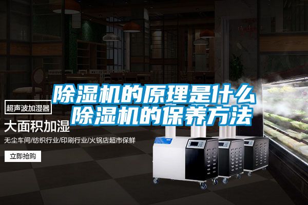 91视频链接下载的原理是什麽 91视频链接下载的保養方法