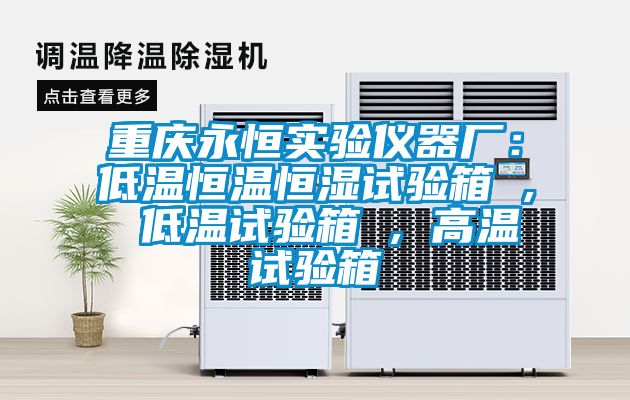 重慶永恒實驗儀器廠：低溫恒溫恒濕試驗箱 , 低溫試驗箱 , 高溫試驗箱